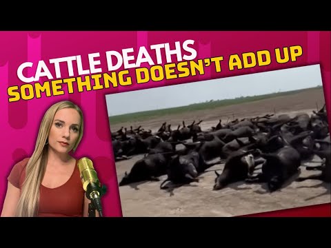 Thousands of Cattle Dead; Key Details the Media's Ignoring