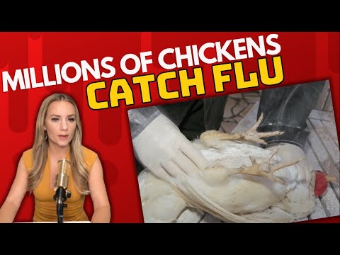 Ivory Hecker Uncensored