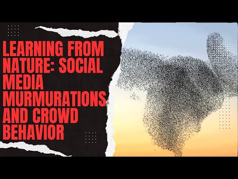 Learning From Nature: Social Media Murmurations and Crowd Behavior