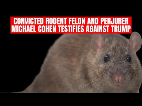 Trump Trial Update: Convicted Rodent Felon and Perjurer Michael Cohen Testifies Against Trump