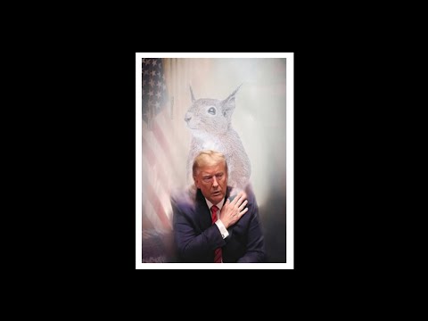 Vote for Liberty for this Country for Trump and for P'nut