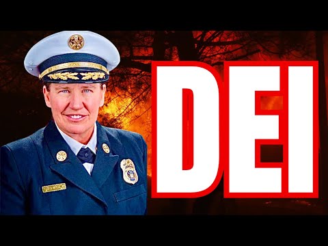 D.E.I. Is D.E.A.D. — This Insanity Has to End Once and for All and This Is It