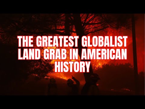 The 2025 LA Fires Will Result in the Largest Globalist Land Grab in History