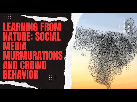 PSYOPS, MEDIA LIES & MOB RULE: The Radical Left's Secret War on Trump Revealed!