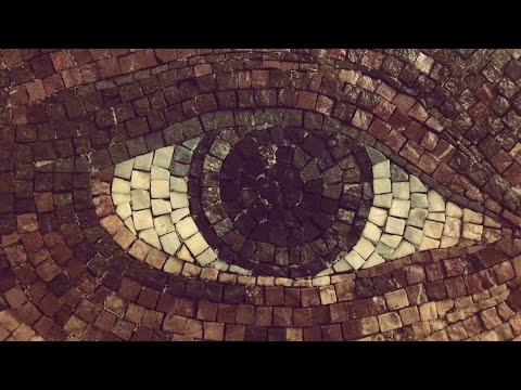 8.8% of Trump’s Term Down: Liberals on Life Support!