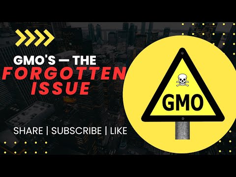 No One Talks About GMOs